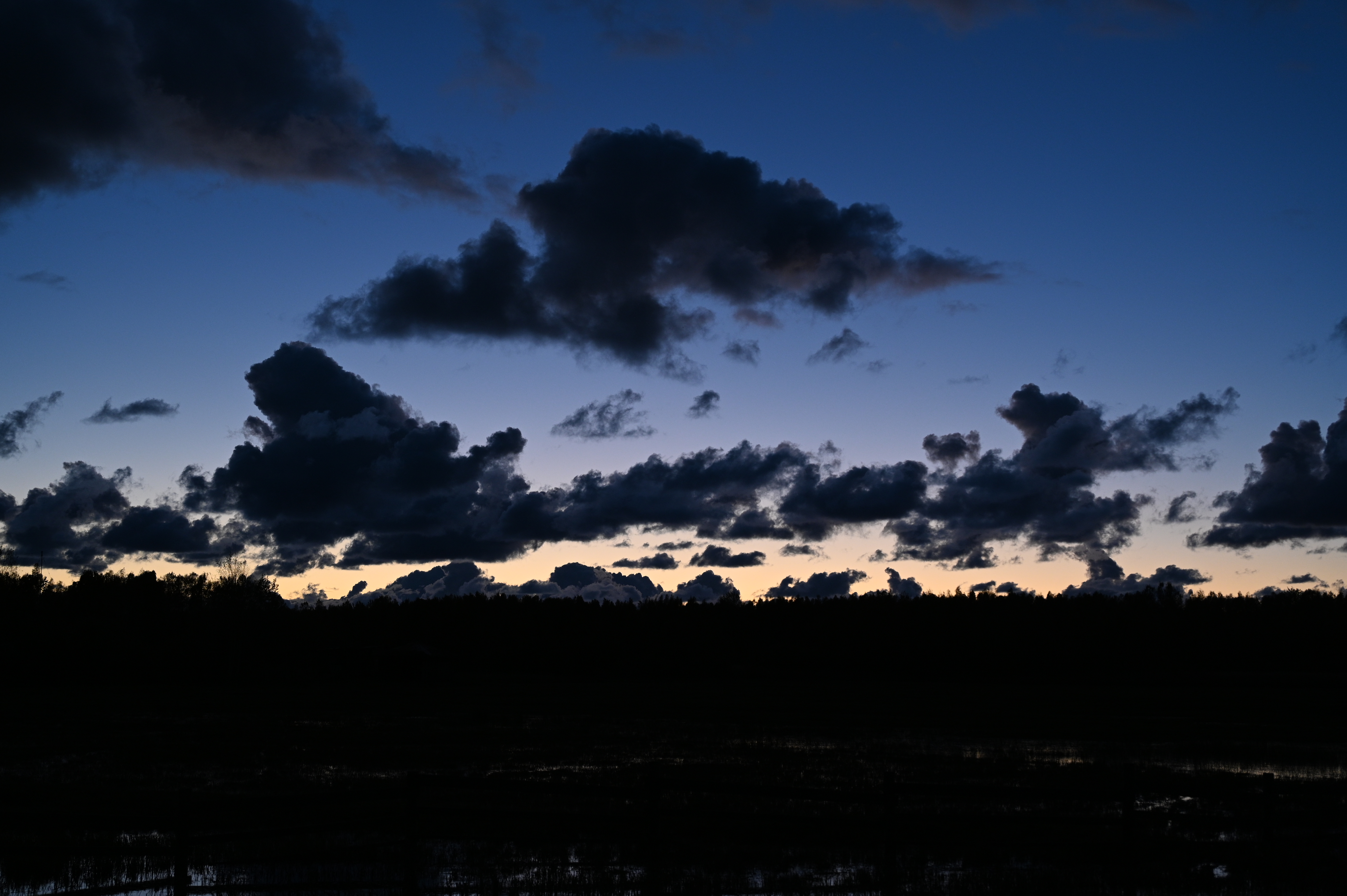 2025/10/18 - walk/DSC_0671.JPG